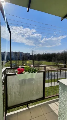 Pronájem bytu 2+kk, Ostrava, Polská, 48 m2