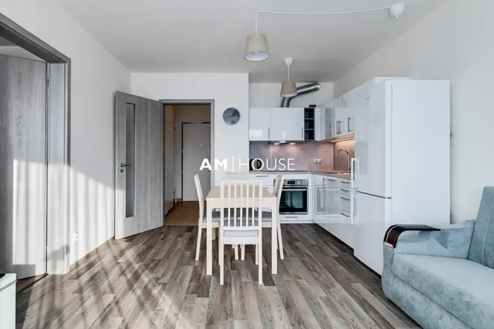 Pronájem bytu 2+kk, Praha - Hloubětín, Poděbradská, 58 m2