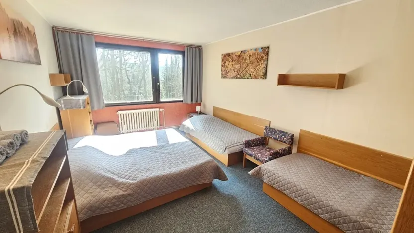 Prodej ubytování, Janov nad Nisou, 635 m2