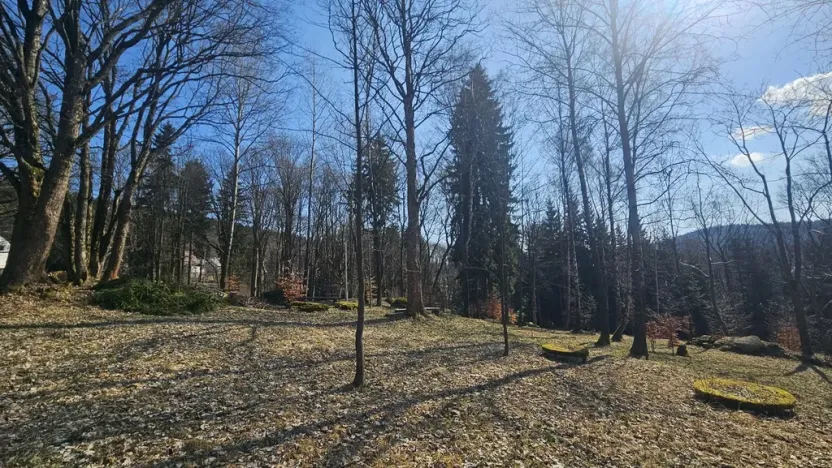 Prodej pozemku pro bydlení, Janov nad Nisou, 8231 m2
