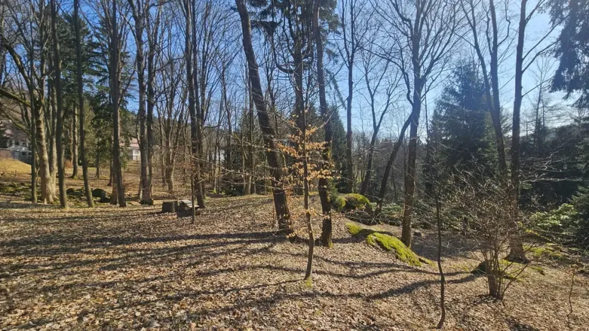 Prodej pozemku pro bydlení, Janov nad Nisou, 8231 m2