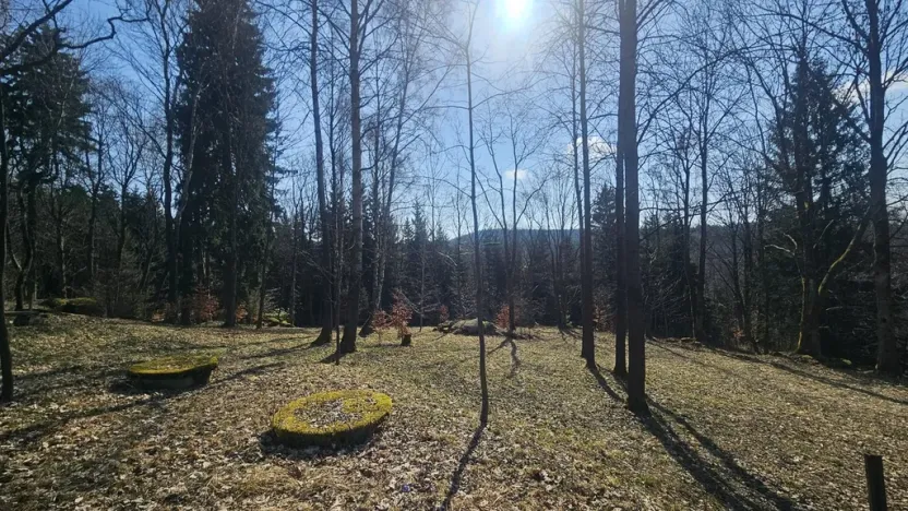 Prodej pozemku pro bydlení, Janov nad Nisou, 8231 m2