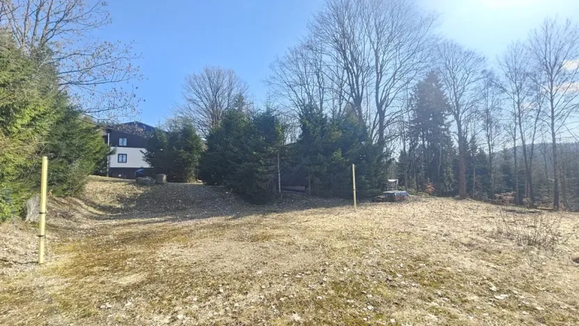 Prodej pozemku pro bydlení, Janov nad Nisou, 11396 m2