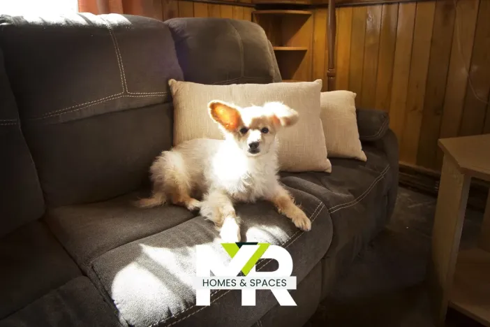 Prodej rodinného domu, Praha - Třeboradice, V Pačátkách, 200 m2