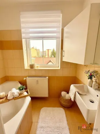 Pronájem bytu 1+1, Děčín - Děčín VI-Letná, Rokycanova, 38 m2