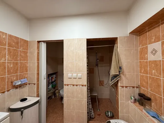 Prodej rodinného domu, Prace, K Mohyle míru, 185 m2