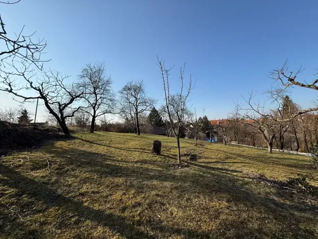 Prodej rodinného domu, Prace, K Mohyle míru, 185 m2