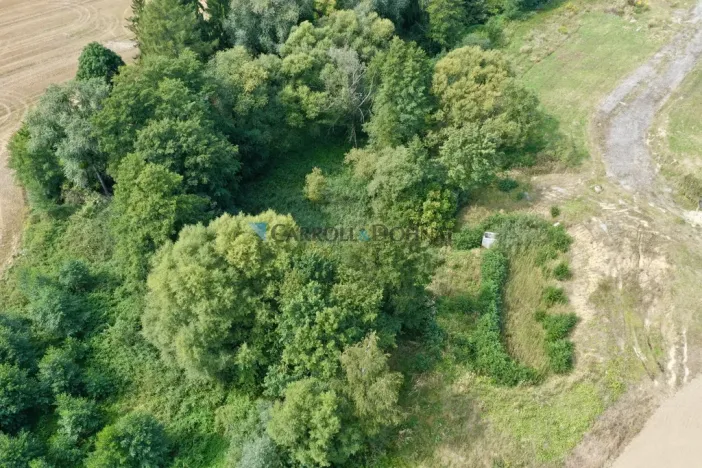 Prodej pozemku pro bydlení, Ostrava - Bartovice, Dvorová, 66863 m2