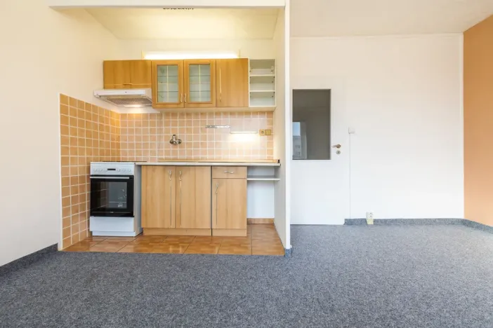 Pronájem bytu 1+kk, Plzeň - Severní Předměstí, Sokolovská, 27 m2