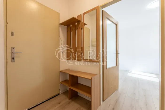 Pronájem bytu 1+kk, Praha - Vinohrady, 24 m2