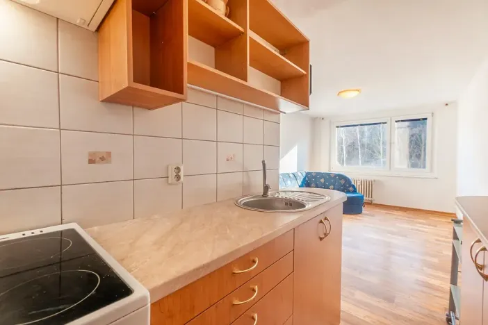 Prodej bytu 2+kk, Teplice, Pražská, 40 m2