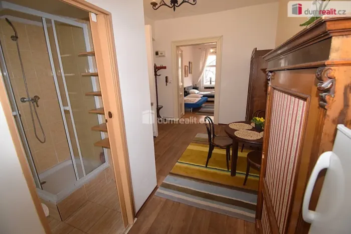 Pronájem bytu 1+1, Praha - Vinohrady, Jana Masaryka, 43 m2