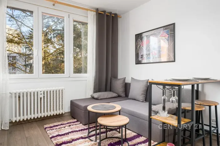 Pronájem bytu 1+kk, Ústí nad Labem, Větrná, 20 m2