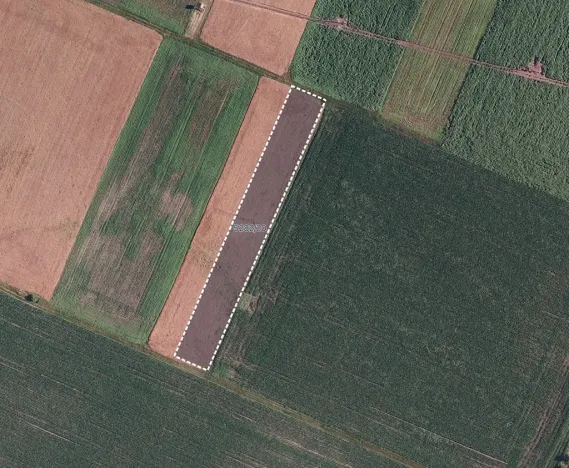 Prodej pole, Novosedly, 3161 m2