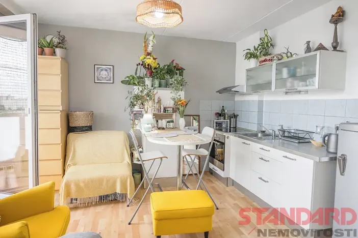 Pronájem bytu 1+kk, Plzeň, Tachovská, 34 m2