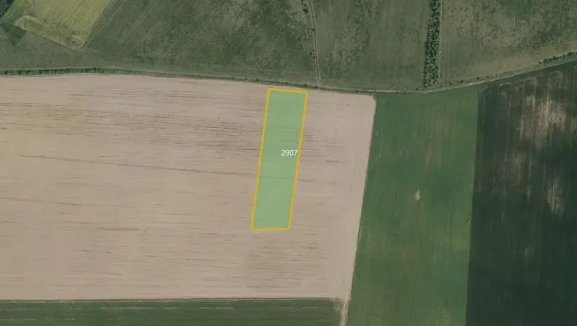 Prodej pole, Ronov nad Doubravou, 10959 m2