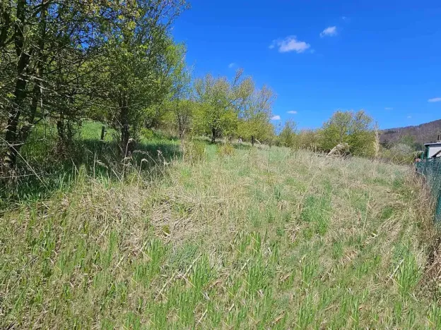 Prodej pozemku pro bydlení, Štěpánov nad Svratkou, 3802 m2