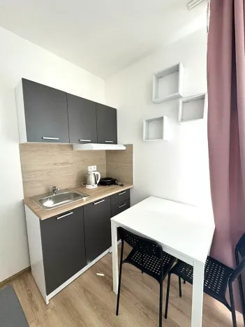 Pronájem bytu 1+kk, Kladno, Hřebečská, 16 m2