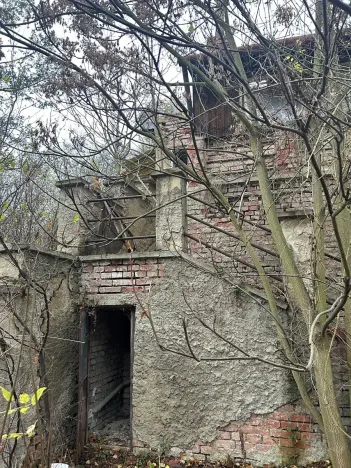 Prodej zahrady, Brno, Vinohrady, 990 m2