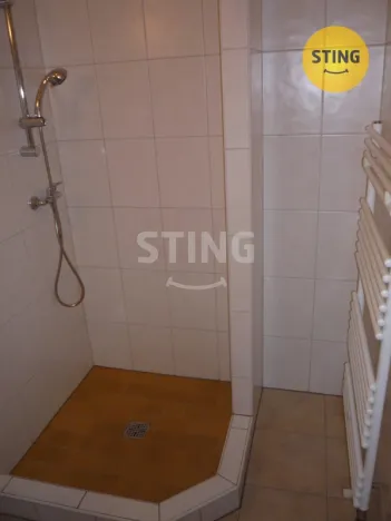 Pronájem bytu 1+kk, Ostrava - Přívoz, 28 m2