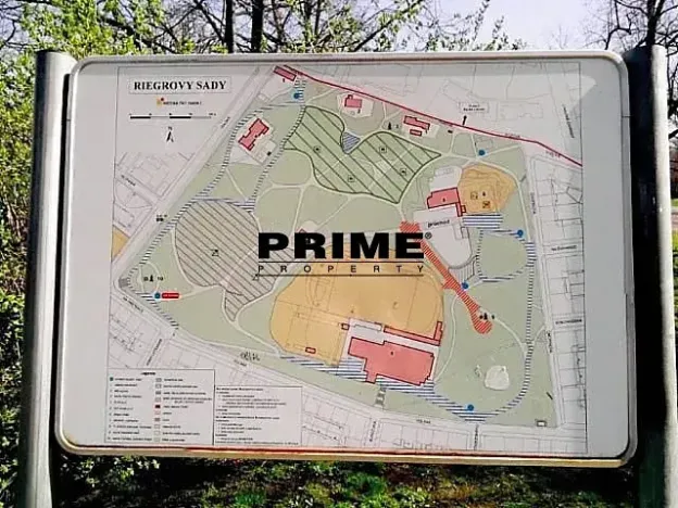 Pronájem bytu 4+1, Praha - Vinohrady, Anny Letenské, 160 m2