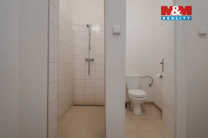 Pronájem obchodního prostoru, Ostrava - Proskovice, Staroveská, 246 m2