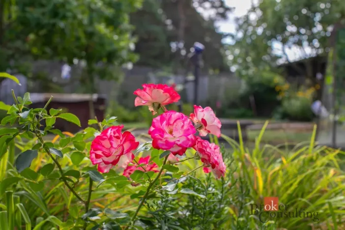 Prodej chaty, Nýřany - Kamenný Újezd, 20 m2