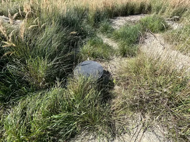 Prodej pozemku pro bydlení, Bavorov - Svinětice, 1396 m2