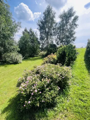 Prodej pozemku pro bydlení, Brzice - Proruby, 1705 m2