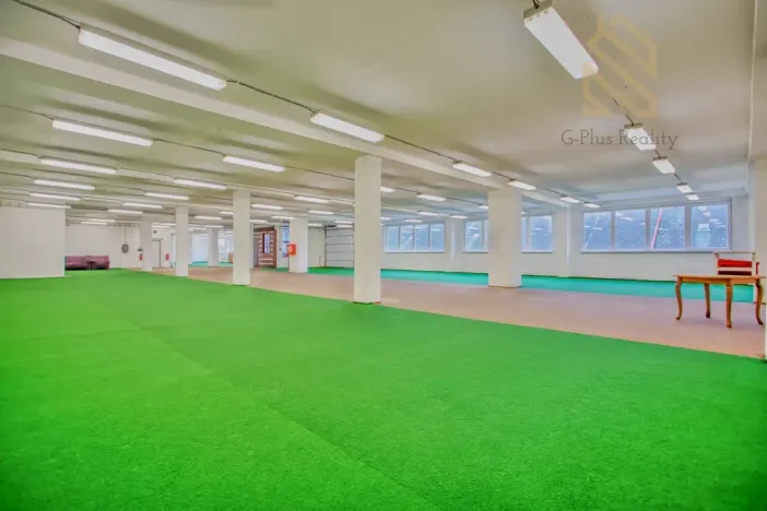 Pronájem obchodního prostoru, Polepy, 1200 m2