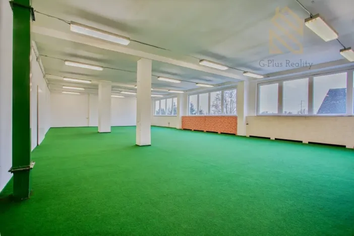 Pronájem obchodního prostoru, Polepy, 1200 m2