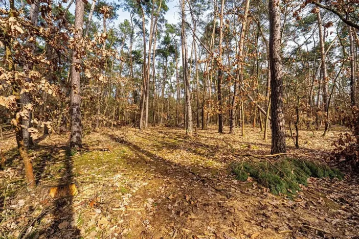 Prodej pozemku pro bydlení, Hradištko, Kersko, 4600 m2