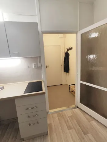 Pronájem bytu 1+kk, České Budějovice - České Budějovice 3, Pekárenská, 21 m2