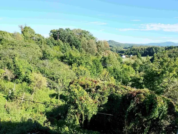 Prodej rodinného domu, Jeseník, 350 m2