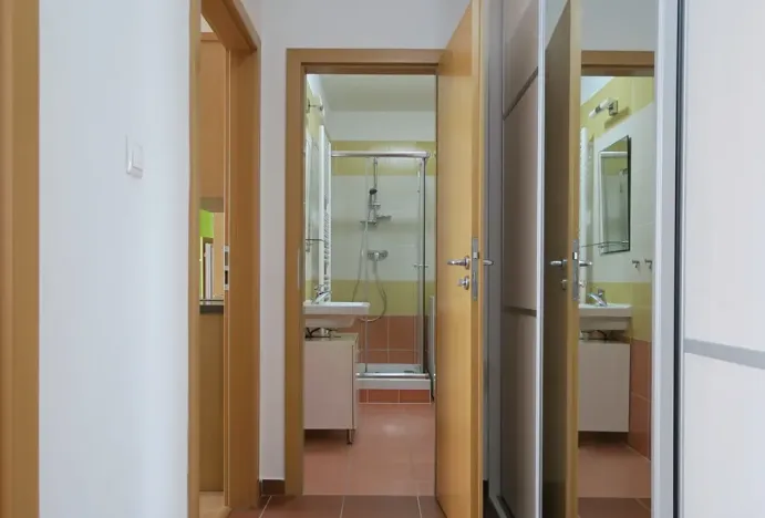 Pronájem bytu 2+kk, Brno, Netušilova, 42 m2