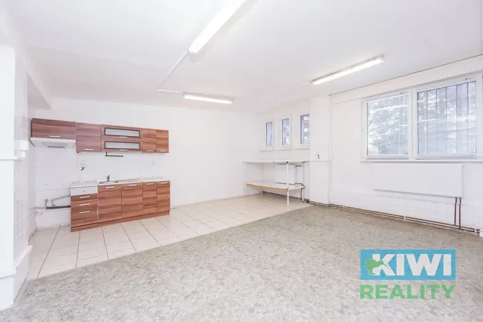 Pronájem obchodního prostoru, Ostrava, Maďarská, 44 m2