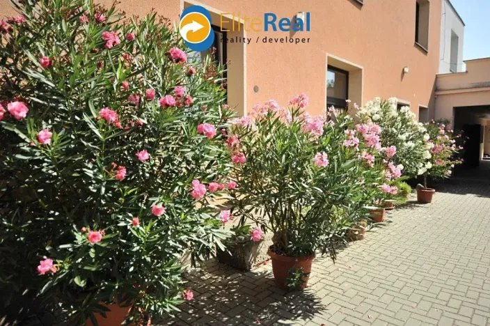 Pronájem bytu 1+1, Olomouc, Chválkovická, 55 m2