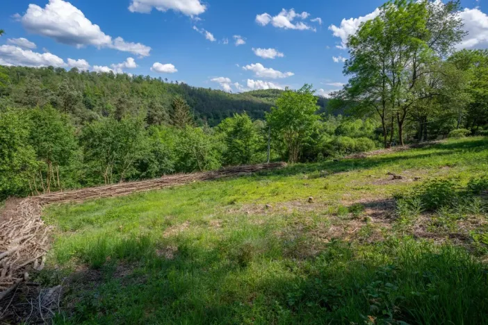 Prodej zahrady, Křivoklát, 1400 m2