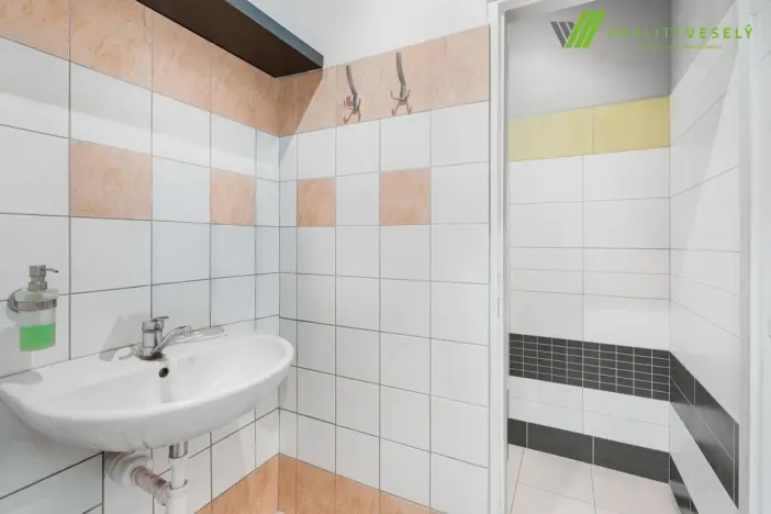 Prodej obchodního prostoru, Hodonín, Měšťanská, 173 m2