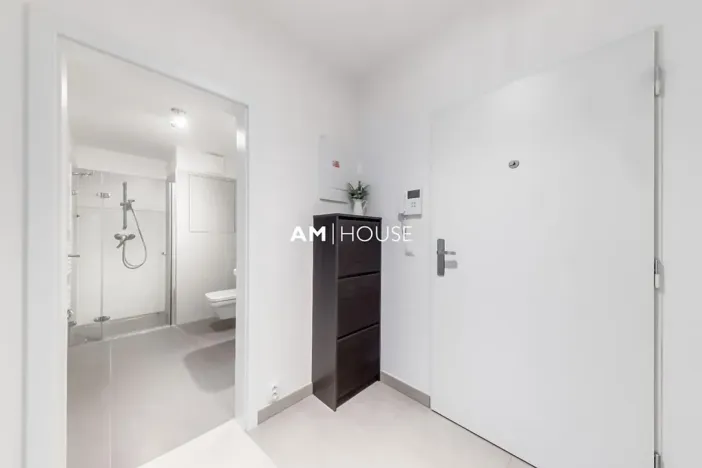 Pronájem bytu 1+kk, Praha - Karlín, Sokolovská, 40 m2