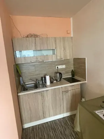 Pronájem bytu 1+kk, Pardubice, Trnovská, 36 m2