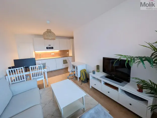 Pronájem bytu 2+kk, Duchcov, V Domkách, 40 m2