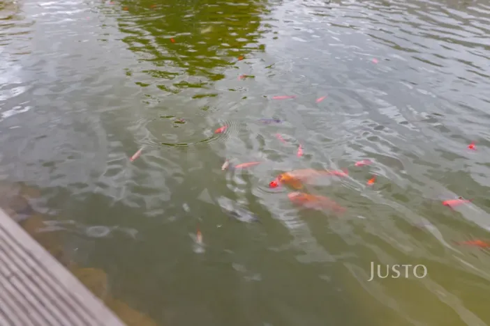 Prodej rodinného domu, Teplice - Trnovany, Na Bramši, 227 m2