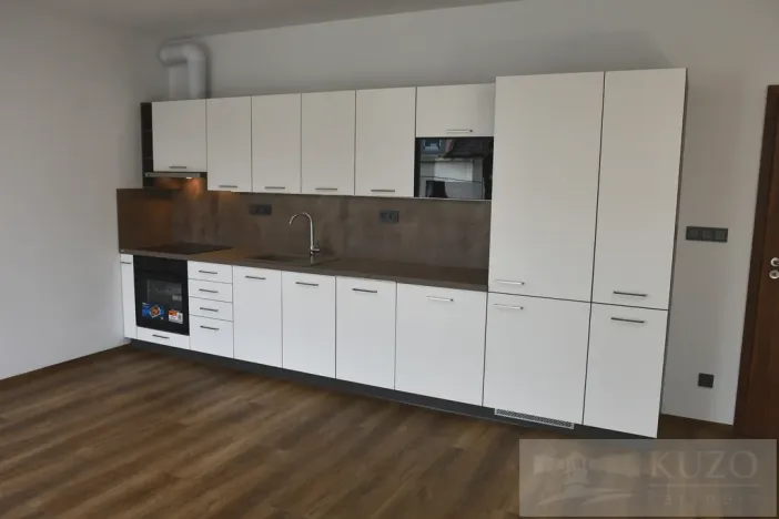 Pronájem bytu 1+kk, Plzeň, Pilařská, 43 m2
