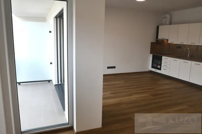 Pronájem bytu 1+kk, Plzeň, Pilařská, 43 m2