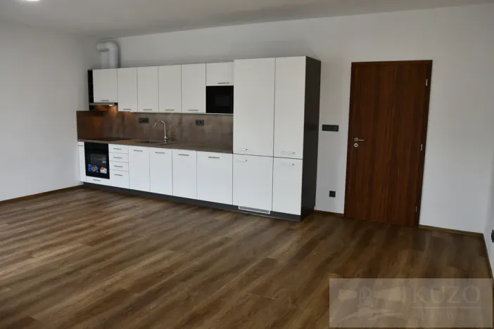 Pronájem bytu 1+kk, Plzeň, Pilařská, 43 m2