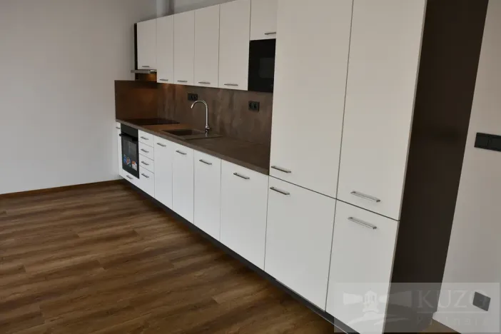 Pronájem bytu 1+kk, Plzeň, Pilařská, 43 m2