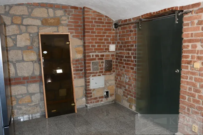 Pronájem bytu 2+kk, Plzeň, Mánesova, 60 m2