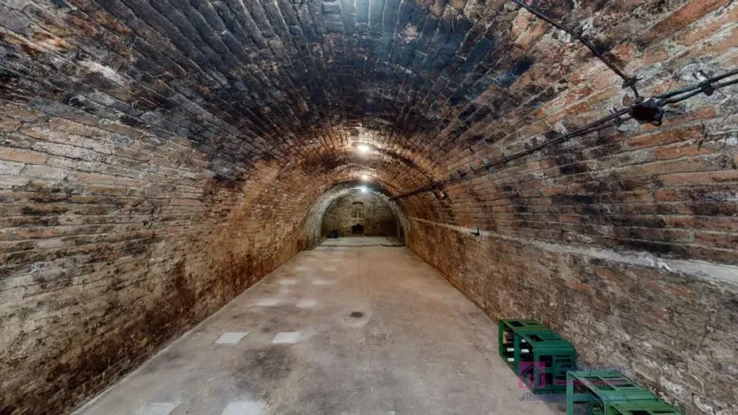 Prodej vinného sklepa, Velké Bílovice, U Školky, 125 m2