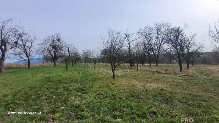 Prodej zahrady, Bystřice pod Hostýnem, 1250 m2